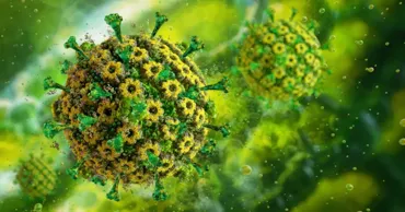 Studiu: Virusul herpes trăiește alături de oameni cel puțin 2.800 de ani