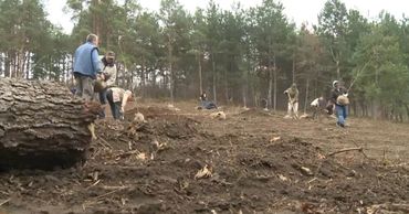 Десятки людей собрались в Ботаническом саду, чтобы посадить деревья.