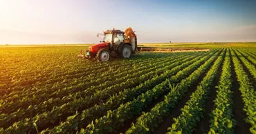 PSRM cere un pachet de măsuri anticriză pentru sprijinirea producătorilor agricoli
