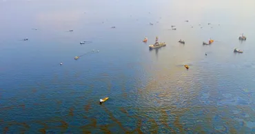 Новая карта показывает, как нефтяные пятна душат океаны: один из очагов в Европе