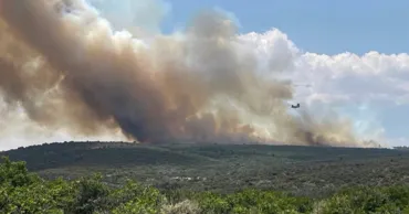 В США из-за пожара в Гранд-Каньоне эвакуированы около 500 туристов