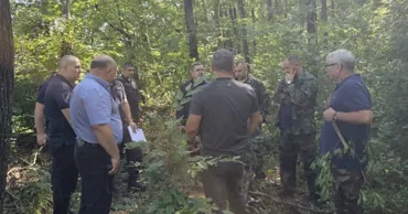 Леса Молдовы проверили перед холодным сезоном: зафиксированы десятки нарушений