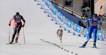 На Олимпиаде в Италии лыжницы испугались собаки, которая выбежала на трассу