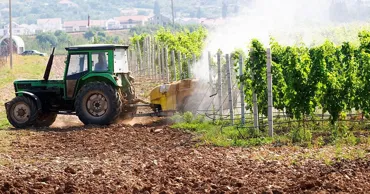 Sprijin pentru fermieri: AIPA a aprobat plăți de peste 13 milioane de lei