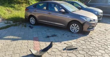 В Кишиневе бродячие собаки повредили припаркованный автомобиль