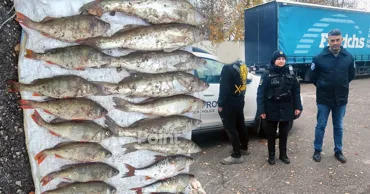 Ущерб от незаконной рыбалки в Рышканском районе составил десятки тысяч леев