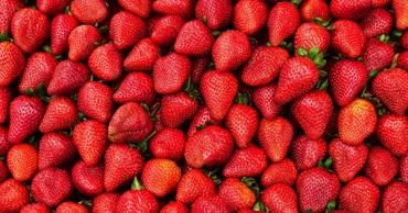 Studiu: 88% din căpșunile din Europa conțin pesticide