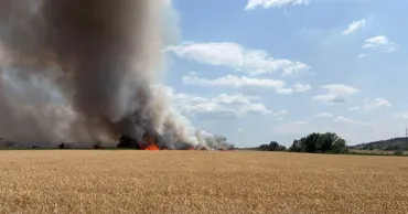 38 de hectare de grâu au ars la Purcari, Ștefan Vodă