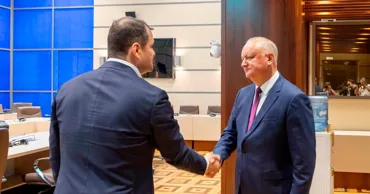 Додон: Тофана за 2-3 месяца затянет в «желтое болото» PAS