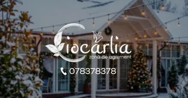 Ciocârlia: Корпоративная вечеринка - для незабываемых зимних праздников Ⓟ