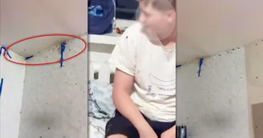UTM, despre gândacii din căminul Colegiului: Situația ne e cunoscută. E un caz izolat