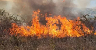 Salvatorii avertizează asupra pericolului extrem de incendiu din cauza căldurii