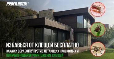 Profilactix: Получи в подарок уничтожение клещей во дворе Ⓟ