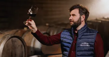 Милештий Мичь: Винодельня с рекордом Гиннесса и подземным забегом Ⓟ