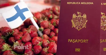 Граждан Молдовы предупреждают о фальшивых предложениях работы в Финляндии