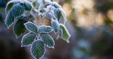 Avertizare meteo: Codul Galben de înghețuri, prelungit din nou