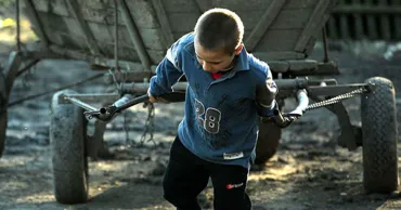 Мужчина приговорен к 17 годам тюрьмы: эксплуатировал детей и взрослых