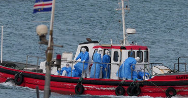 В Калифорнии ищут 20 пассажиров лайнера MV Hondius после вспышки хантавируса