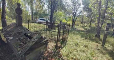 На кладбищах вокруг Чернобыля растут деревья со стволами больше 5 метров в обхвате