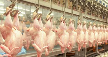 Украина передала Молдове результаты европейских анализов курятины и ожидает решения