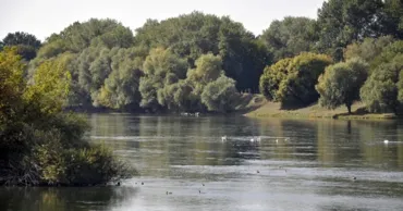 Метеорологи прогнозируют изменения уровня воды в Днестре и Пруте