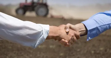 Statul va acoperi 70% din primele de asigurare în agricultură și în 2026