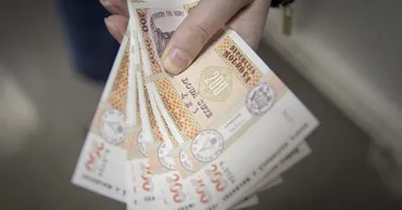 Минтруда призвало не возвращать соцвыплаты до завершения проверок