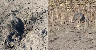 Drone și explozii lângă R. Moldova: Fragmente găsite într-un lan de floarea-soarelui