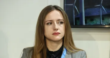 Минэнерго о банкротстве производителей зелёной энергии: Они осознавали риски