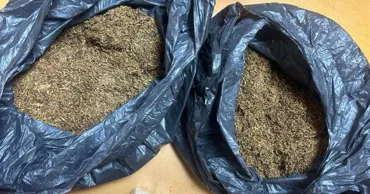 Табак под одеждой и незадекларированный двигатель: два нарушения выявили на границе