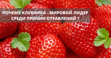 LactoBioEnterosGel помогает избежать весеннего отравления клубникой Ⓟ