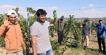 Deficit de muncitori în Moldova: Pe câmpuri ies cetățeni din Nepal și Bangladesh