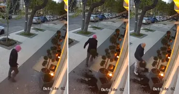 Un bărbat a smuls un tufiș decorativ plantat într-un ghiveci