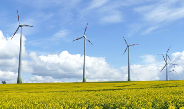 Un nou record de producere a energiei din surse regenerabile: Ponderea acesteia a atins cota de 36%.