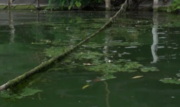 Гидигичское водохранилище вновь в поле зрения специалистов.