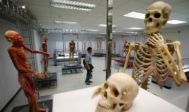 В Таиланде кремируют тело серийного убийцы, простоявшее в музее 60 лет.