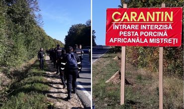 В Резине объявлен карантин в связи с АСЧ.