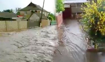 Видео было опубликовано в социальной сети.