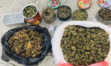 Жителя Бачоя задержали за выращивание наркосодержащего растения.