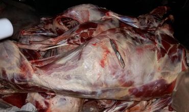 Опасные мясо и рыбу намеревались продать на Центральном рынке Кишинева.