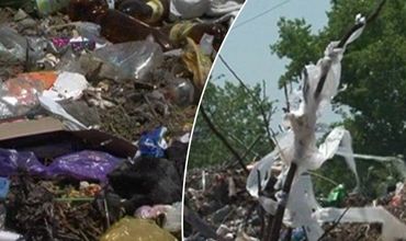 Жители села в Чимишлийском районе требуют решить проблему мусорной свалки.