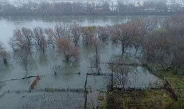 Из-за повышения уровня воды в Днестре на севере подтопило сельхозугодия.