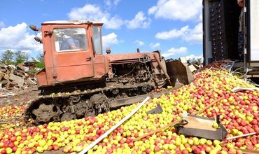 Более 30 тонн молдавских яблок были уничтожены в России.