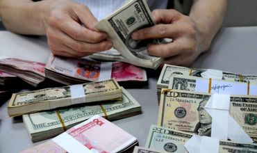 В июле темп укрепления лея по отношению к доллару США замедлился.