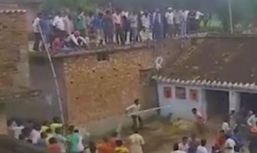 Хищник бросался на людей и загнал на крыши половину местных жителей.