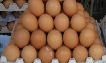 Подорожали некоторые молочные продукты и яйца.