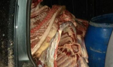 Мужчине грозит штраф в размере от 3 000 до 4 500 леев за незаконную перевозку мяса. Фото: tvrmoldova.md.