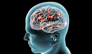 Ani de zile, neurologii nu au ştiut dacă este posibil că neuronii umani să se regenereze sau să apară noi celule cerebrale.