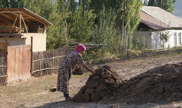Тонна угля  стоит в среднем три тысячи леев, а дрова - около 600 леев за кубометр. Фото: yaplakal.com.