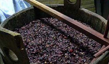 Mustul poate fi transformat în sirop, pe care îl puteți consuma, peste iarnă, cu apă minerală sau sifon. Foto: acasa.ro